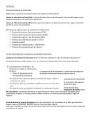 Sitemas de informacion.