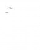 Metodología de Investigación Cualitativa