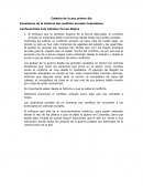 Catedra de la paz.