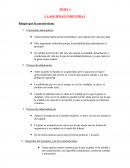 La sociedad industrial