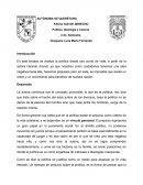 ENSAYO LIBRO HANNAH ARENDT QUE ES LA POLÍTICA?