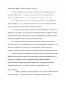 ANEMIA MICROCÍTICA HIPOCRÓMICA: CAUSAS