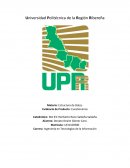 Ingeniería en Tecnologías de la Información.