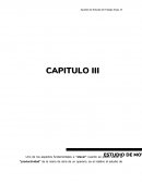 Capitulo III Uno de los aspectos fundamentales a "atacar" cuando se quiere elevar la "productividad"