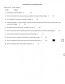 El Narcotráfico En La Sociedad Promedio