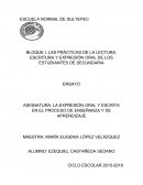 Practica constructivista.