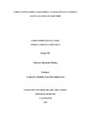 Análisis a los bienes públicos, el gasto público, y el sistema electoral en Colombia de acuerdo a las premisas de Joseph Stiglizt
