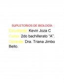 El ciclo de la célula y la reproducción celular.