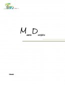 Ensayo: Memoria Descriptiva.