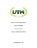 Orígenes de la violencia y sus factores