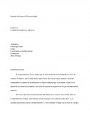 Ensayo Comportamiento Grupal.