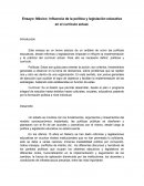 Ensayo: México: Influencia de la política y legislación educativa en el currículo actual.