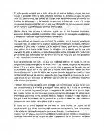 El Búho. Monografía. Página 1
