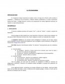 El termino ciudadano proviene del romano “civis” y éste de “civitas” – ciudad o conjunto de habitantes.