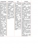 Actividad de organización y jerarquizacion.