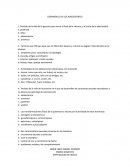 DESARROLLO DE LOS ADOLESCENTES.