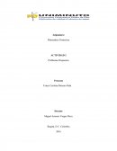 Actividad 2. Problemas Propuestos