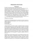 Procesos afectivos.