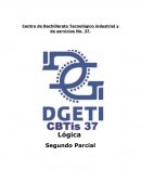 ENSAYOS SOBRE LAS EXPOSICIONES DEL SEGUNDO PARCIAL.