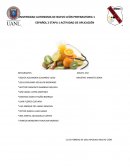 Actividad de aplicacion. Nutrición