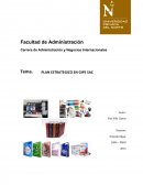 PLAN ESTRATEGICO.