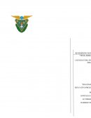 Ensayo "Preescolar indígena"..