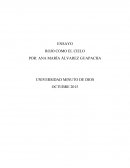 Pelicula Rojo como el cielo.