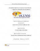 Ensayo: “INSTITUTO EVANGÉLICO ÁRBOL DE VIDA”