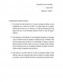 Apuntes de Actividad Integradora.