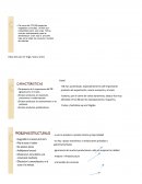 Sector primario, presentacion