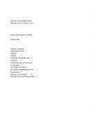 PROYECTO EMPRESARIAL IMPORTA GUATEMALA, S.A.