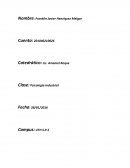 Psicología industrial. El Multiculturalismo