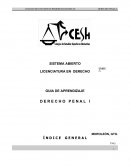Guía de aprendizaje de derecho penal.