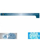 PROYECTO SOCIOCOMUNITARIO PRODUCTIVO “FORMANDO JOVENES INNOVADORES SOCIALES Y CONSTRUCTORES DE PAZ PARA LA COMUNIDAD”