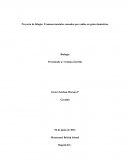 Proyecto de bilogía: Traumas mentales causados por caídas en gatos domésticos