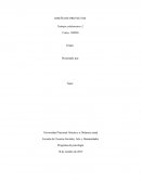 DISEÑO DE PROYECTOS.