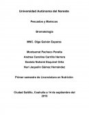 Pescados y mariscos. Origen