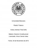 Consti Materia: Derecho Constitucional