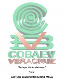 Enrique Herrera Moreno” Física I