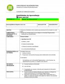 Habilidades de Aprendizaje. Reporte “Los Valores de Hoy”