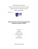 Estrés Laboral en el Área de Emergencias del Ambulatorio Urbano