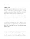 Marco Teórico El amplificador diferencial.