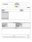 PROGRAMA DE FORMACIÓN DE IDENTIFICACIÓN DEL CURSO