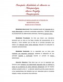 PRINCIPALES MODALIDADES DE ATENCIÓN EN NEUROPSICOLOGÍA