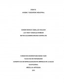 PROGRAMA DE HIGIENE Y SEGURIDAD INDUSTRIAL ha ido cambiando y evolucionando
