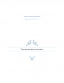 Tipos de párrafos y estructura