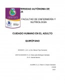 Responsabilidad legal del profesional de enfermería y conceptos relacionados