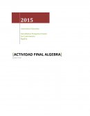 Actividad final algebra, diferenciar entre lenguaje numérico y algebraico