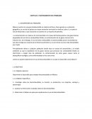 Biocumbustibles. Trabajo de Investigación.