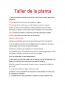 Taller de botánica.